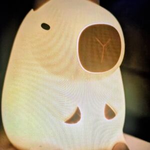 Cute capybara siliconel Night Light